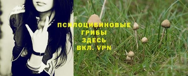 герыч Аркадак