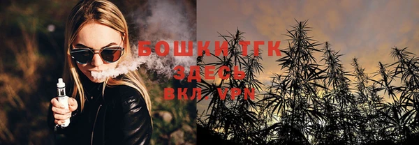 прущая мука Арсеньев