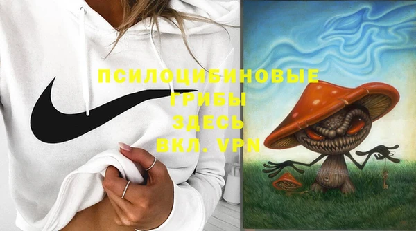 ГАЛЛЮЦИНОГЕННЫЕ ГРИБЫ Нягань