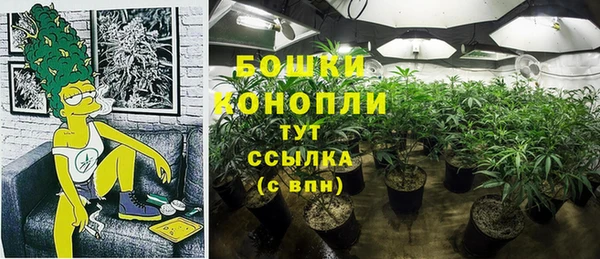 ПСИЛОЦИБИНОВЫЕ ГРИБЫ Няндома