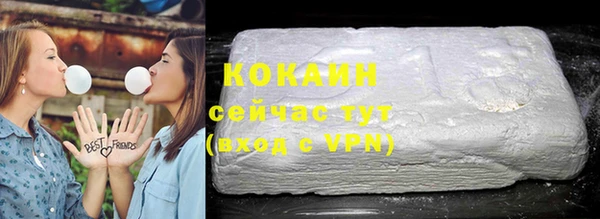 ПСИЛОЦИБИНОВЫЕ ГРИБЫ Няндома